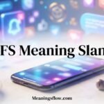 nfs meaning slang