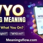 WYO slang meaning